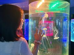 -苏州海洋馆