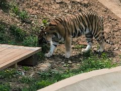 -石家庄市动物园