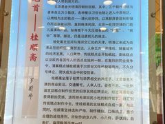 -芦庄子桂顺斋(和平路总店)