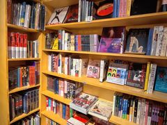 -独音唱片 Indie Music