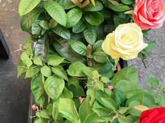 -大师傅金奖啤酒鱼(西街口总店)