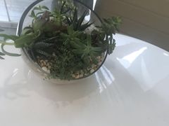 -维乐口腔(格林门诊长宁店)
