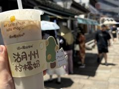 -猫的魔法密林(衣裳街店)