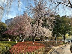 -天鹅湖体育公园