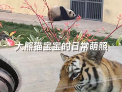 -西安秦岭野生动物园