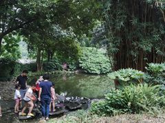 -成都市活水公园