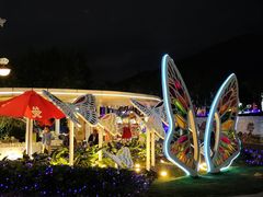 -三亚红色娘子军演艺公园景区