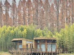 -黄海国家森林公园