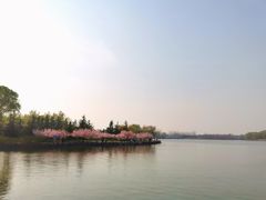 -大兴滨河森林公园