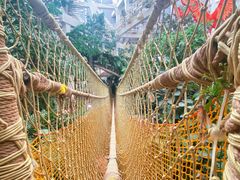 -正佳雨林生态植物园