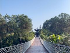 -铁山坪森林公园