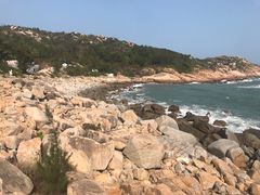-广东惠东海龟国家级自然保护区