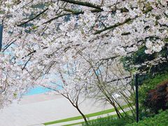 -杭州少年儿童公园