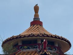 -仙岳公园