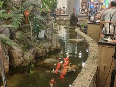 -丰圆轩粤式茶楼 . 点心粤菜(夏茅店)