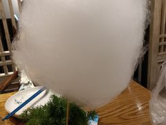 蒲公英糖葫芦-小大董·烤鸭(王府井apm店)