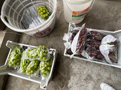 -马陆小张葡萄园农家乐