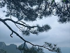 -大明山自然探索公园