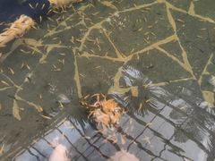 -龙达温泉生态城