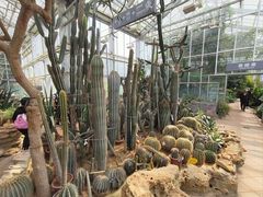 -国家植物园南园