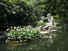 -南山植物园