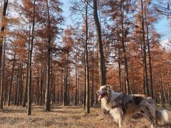 -广富林郊野公园