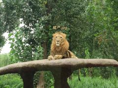 -北京野生动物园