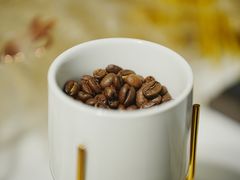 -星光摄影器材城