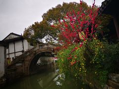 -观桥阁(锦溪店)