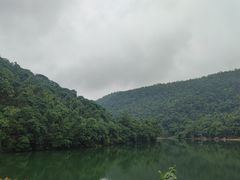-桃花岭景区