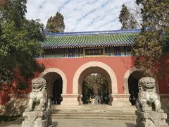 -灵谷景区
