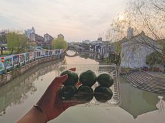 -真真老老(月河花鸟市场店)