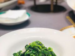 鸡油豆苗-福玺荟(外滩罗斯福店)