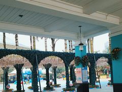 -海合安成都极地海洋公园