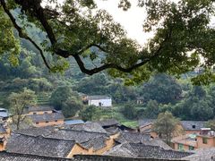 -杨家堂村