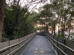 -福道