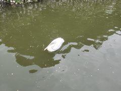 -无锡动物园·太湖欢乐园