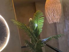 -施奈儿.洗头頭療.按摩SPA.采耳(上梅林店)
