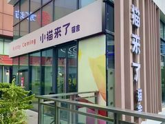 -小猫来了·猫舍(红山六九七九店)