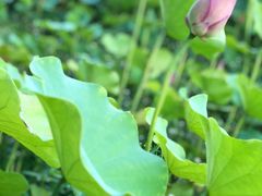 -百翠山居.家飨餐厅