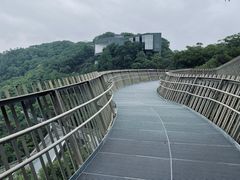 -福道