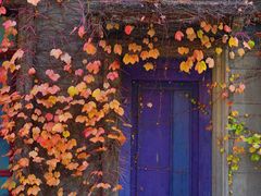 -半岛1919创意园区