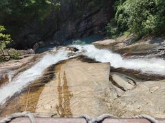 -广州白江湖森林公园