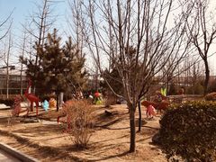 -南宫五洲植物乐园