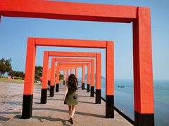 -漳州滨海火山岛自然生态风景区