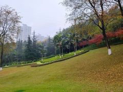 -龙头寺公园