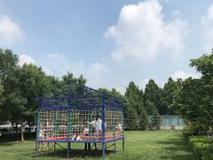 -廊坊固安福朋喜来登酒店