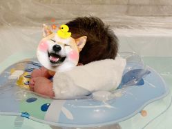 -baby bella小贝拉母婴护理中心(北京东隅店)