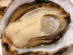 -HIHE Bistro·Oyster Bar(华熙live店)