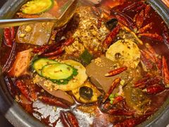 -探鱼·鲜青椒爽麻烤鱼(广州欣荣广场店)